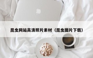 楚雄昆虫网站高清照片素材（昆虫图片下载）